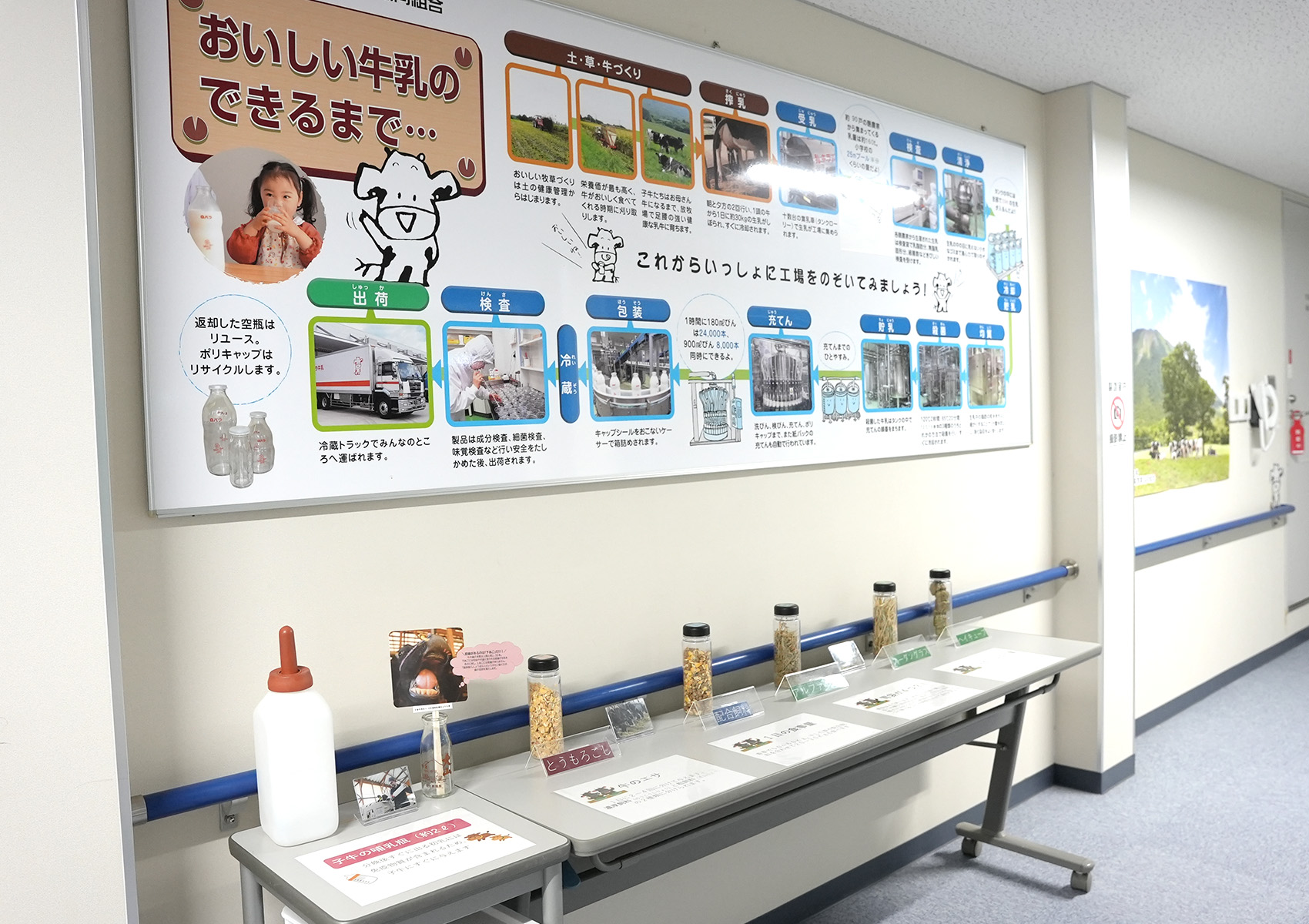 大山乳業農業協同組合 牛乳・ヨーグルト工場 白バラ牛乳 鳥取県琴浦町