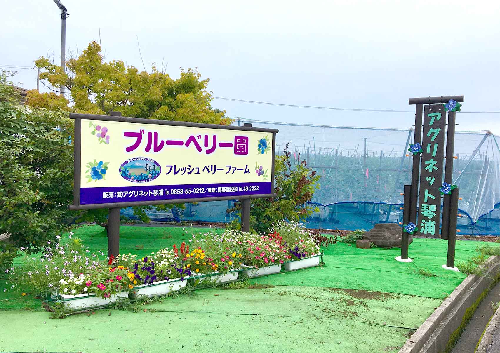 フレッシュ・ベリー・ファーム 鳥取県琴浦町赤崎 ハード系パン日替わり 軽食