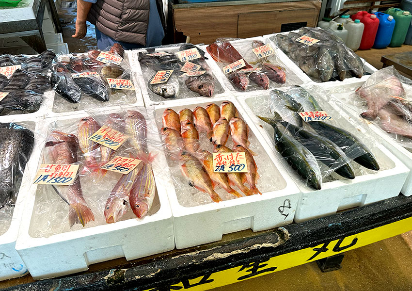 海鮮料理 きわみ 鳥取県琴浦町