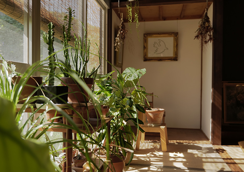 パン 塩屋 鳥取県琴浦町赤崎 ハード系パン日替わり 軽食