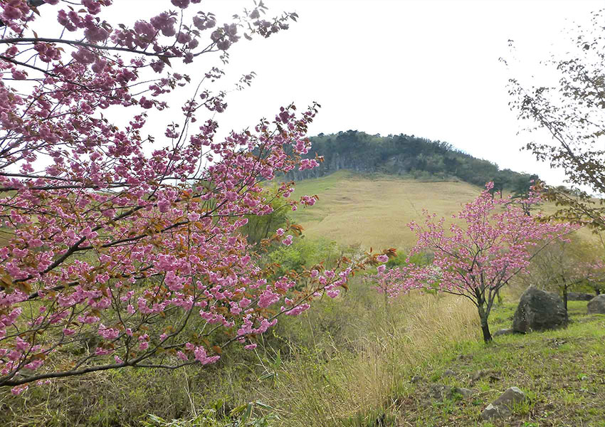 船上山 せんじょうさん 鳥取県琴浦町