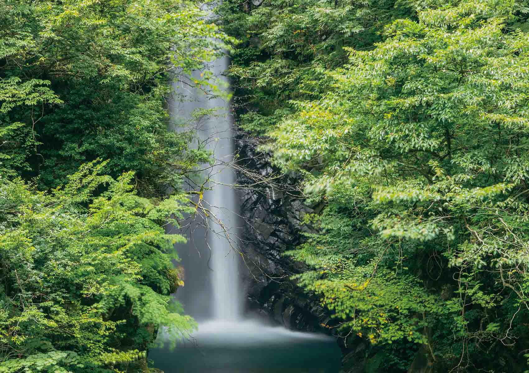 一向平キャンプ場