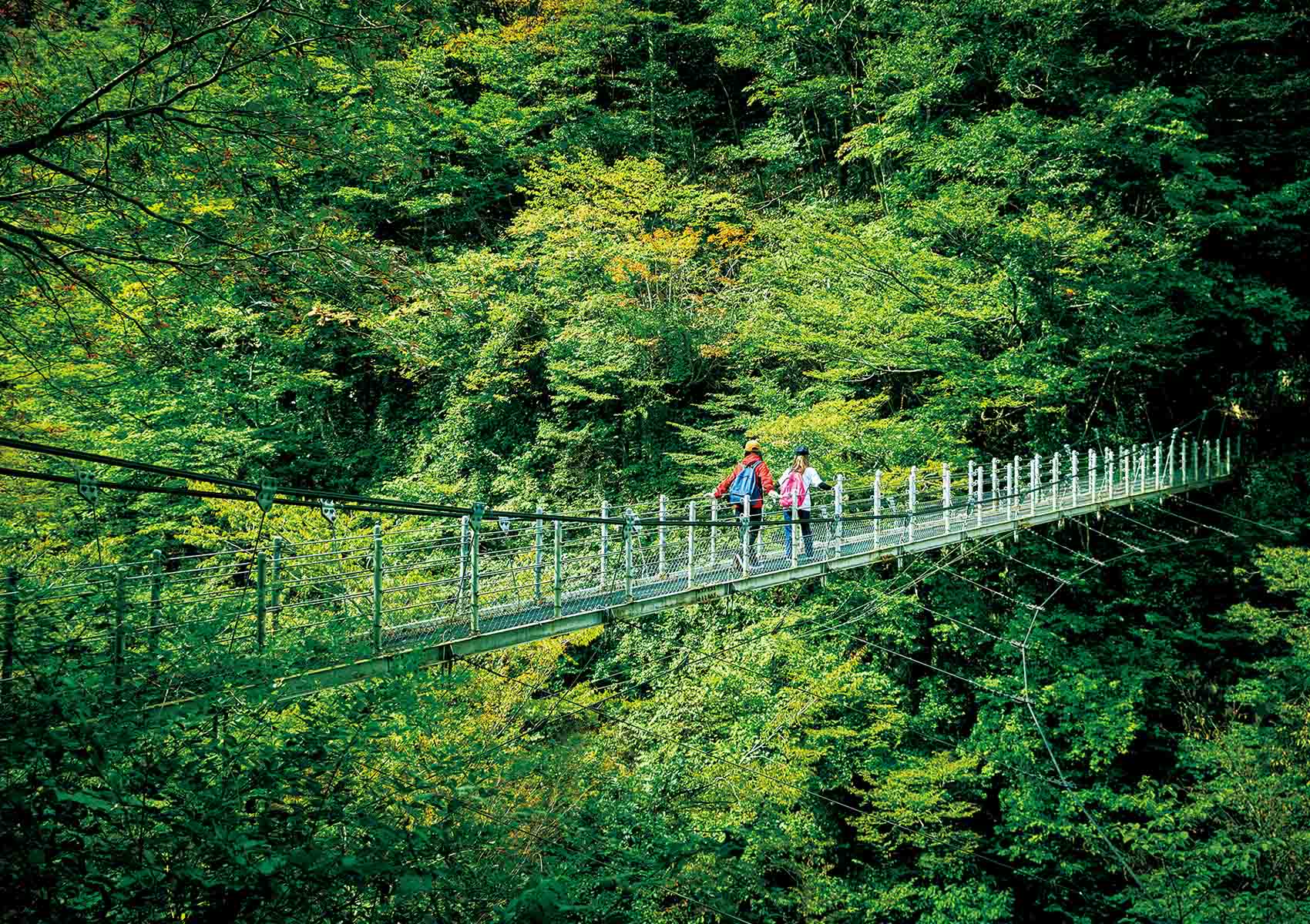 一向平キャンプ場