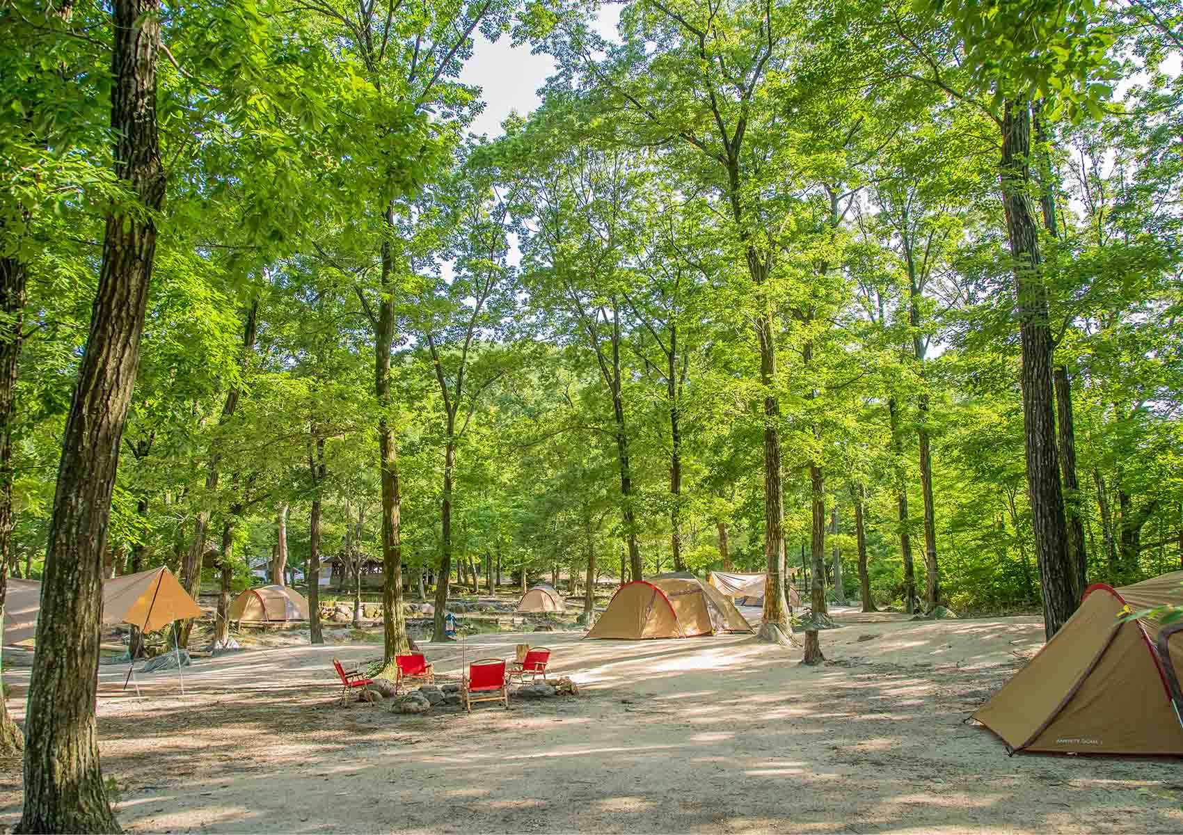 一向平キャンプ場