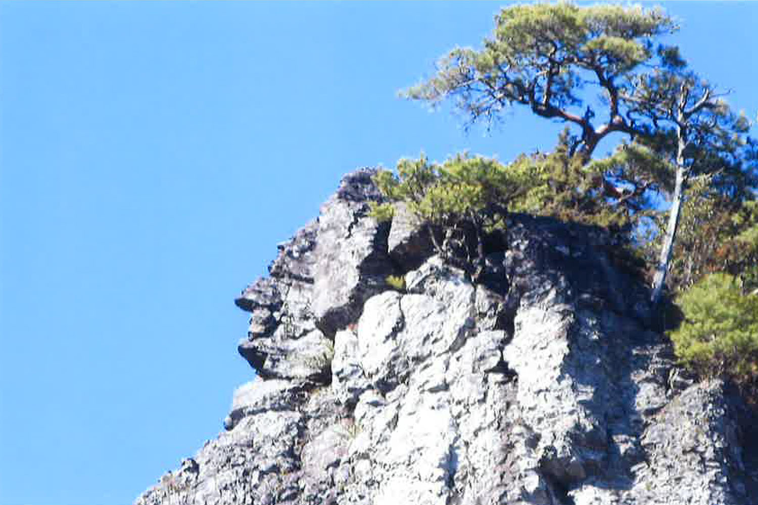 船上山 せんじょうさん 鳥取県琴浦町 船上山ロックマン